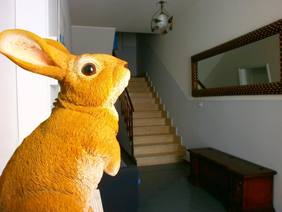 Il Leprotto - Room & Breakfast Altedo ภายนอก รูปภาพ